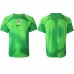 Cheap Croatia Goalkeeper Home Football Shirt World Cup 2022 Short Sleeve
